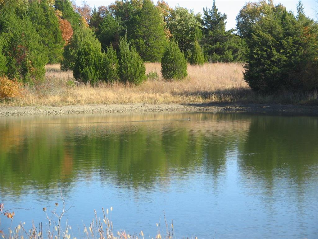 A0446 A C GRIMES, ACRES 255. - Land