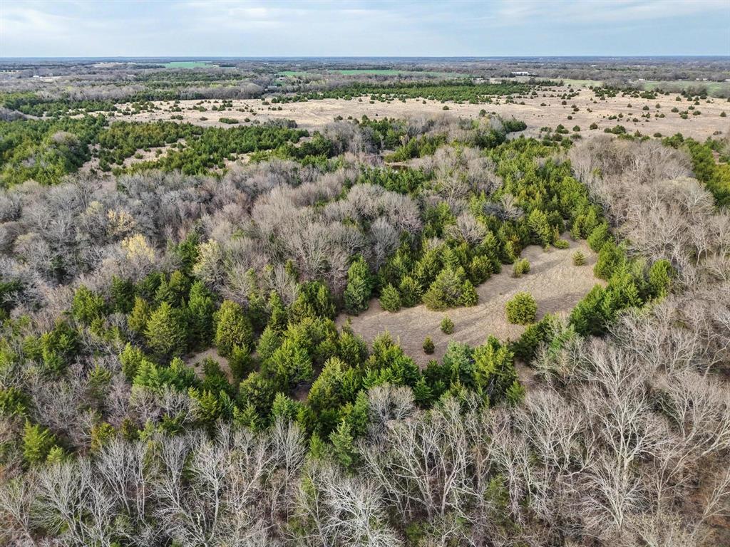 A0446 A C GRIMES, ACRES 255. - Land