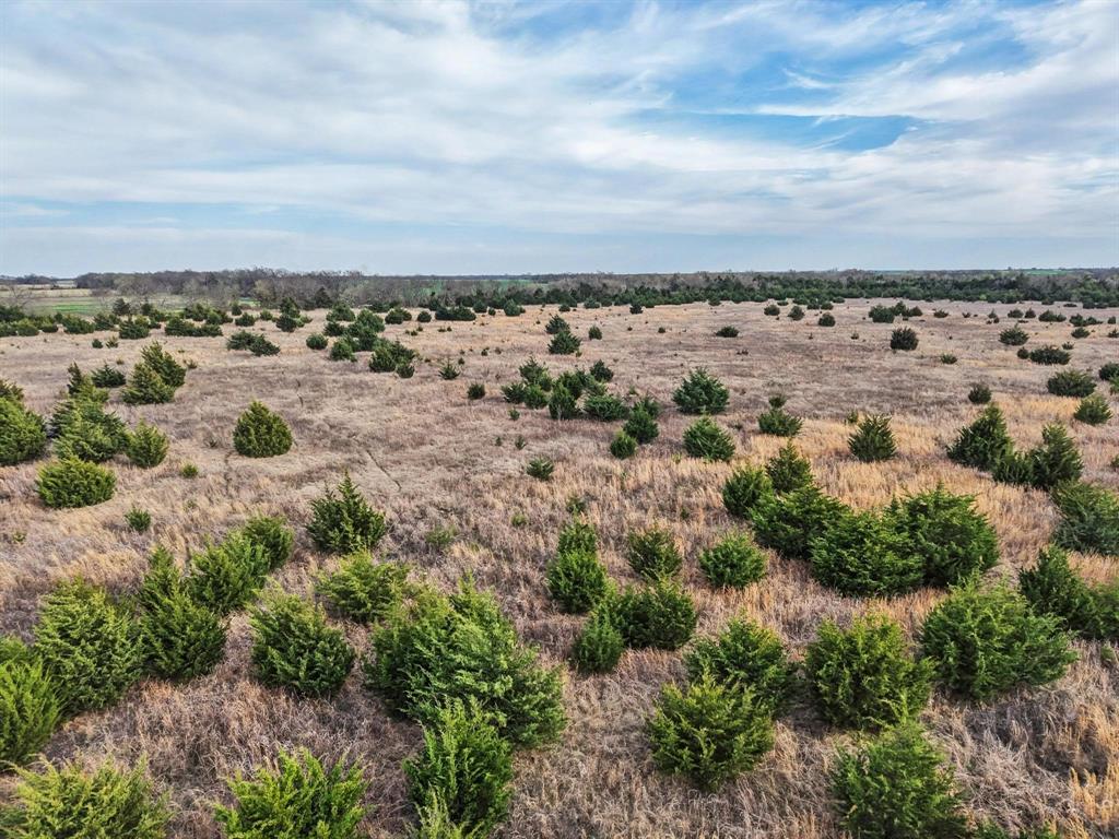 A0446 A C GRIMES, ACRES 255. - Land