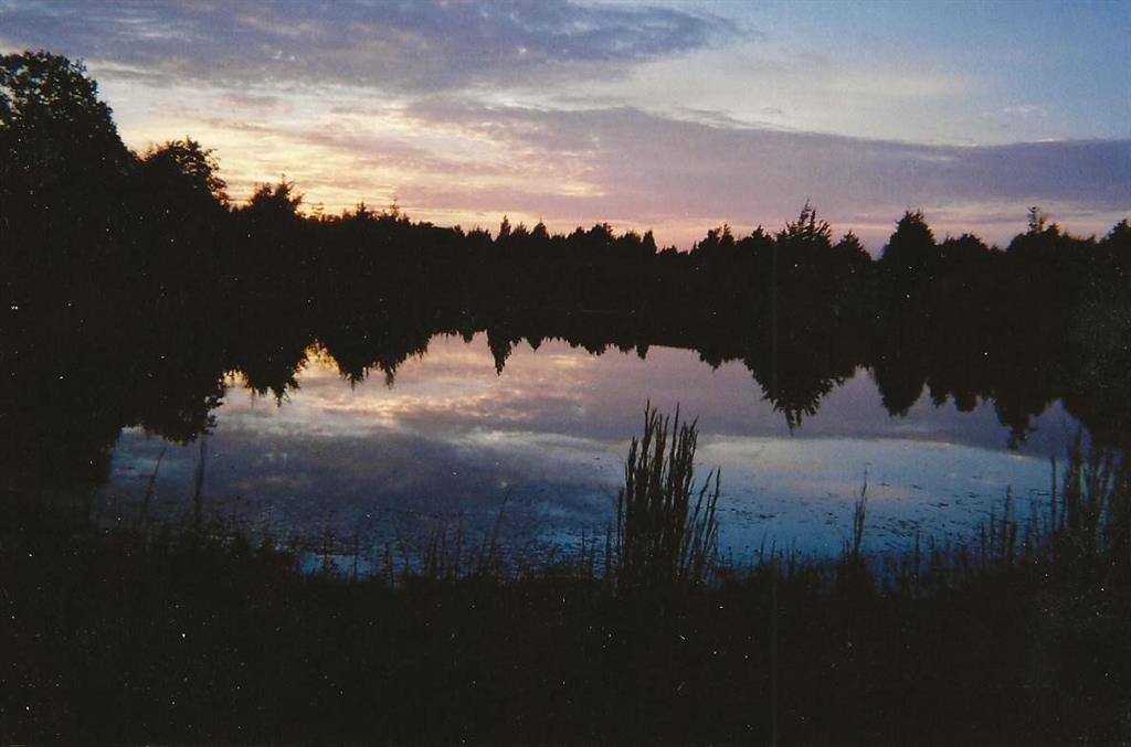 A0446 A C GRIMES, ACRES 255. - Land