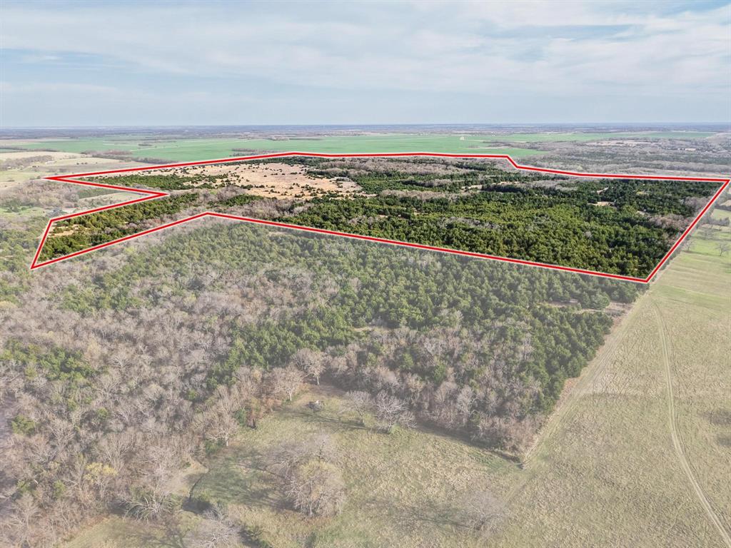 A0446 A C GRIMES, ACRES 255. - Land