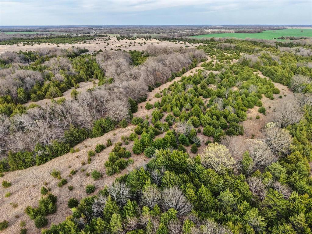 A0446 A C GRIMES, ACRES 255. - Land