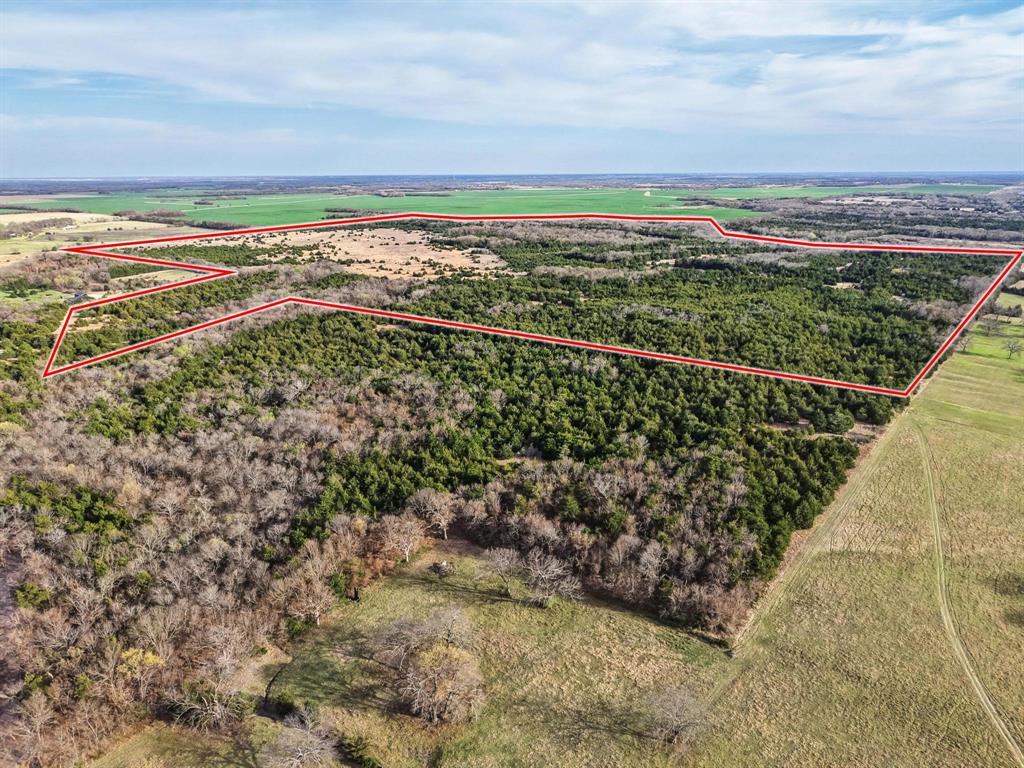 A0446 A C GRIMES, ACRES 255. - Land