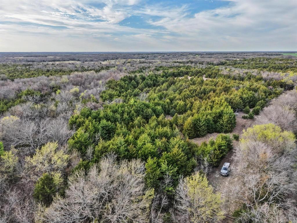 A0446 A C GRIMES, ACRES 255. - Land