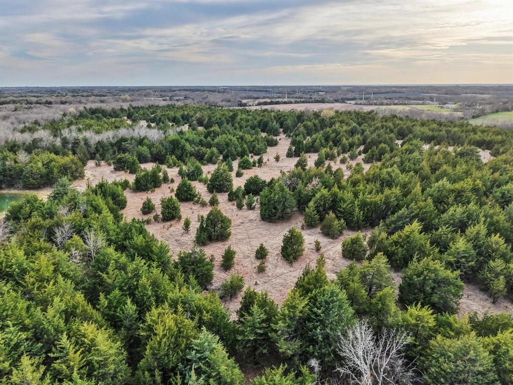 A0446 A C GRIMES, ACRES 255. - Land