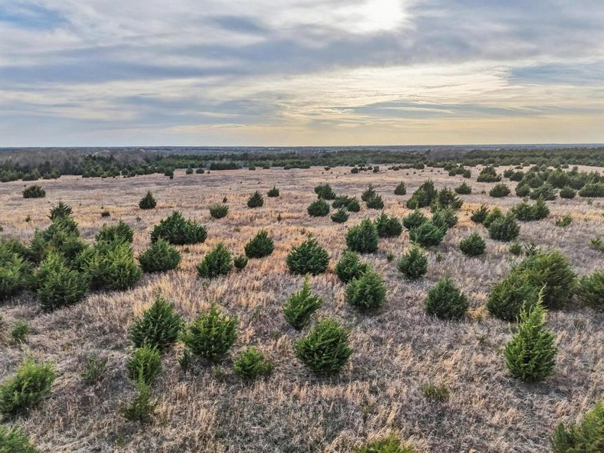 255 +- acres of privacy and serenity.  Property is located at the end of a dead end county road,  has lots of wildlife, native timber, 2 ponds, and a winding creek.  Property is fenced, has atv trials and wide open spaces.  Could make a great spot for farm animals hunting, fishing, exploring or for future hay production.