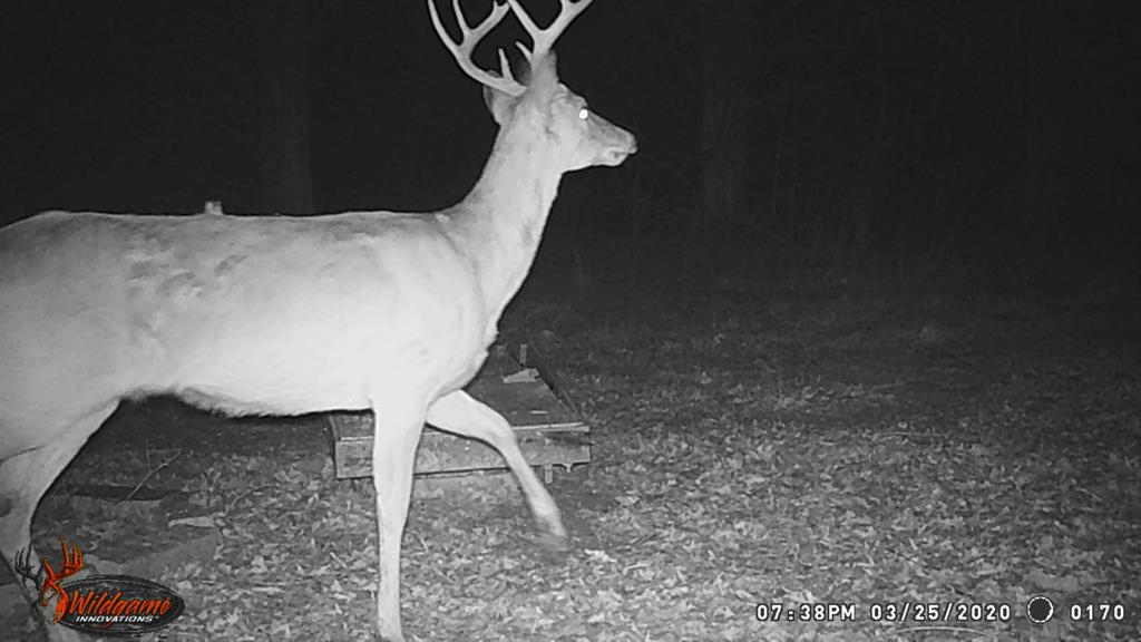 A0446 A C GRIMES, ACRES 255. - Land