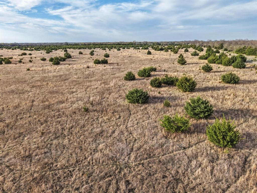 A0446 A C GRIMES, ACRES 255. - Land