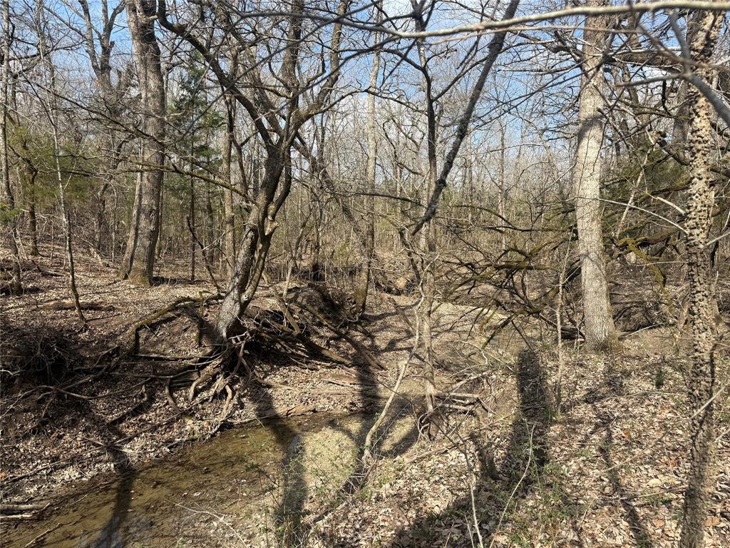 A0446 A C GRIMES, ACRES 255. - Land