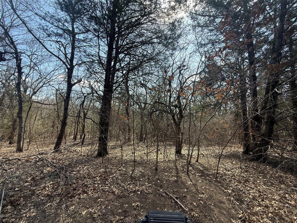 A0446 A C GRIMES, ACRES 255. - Land