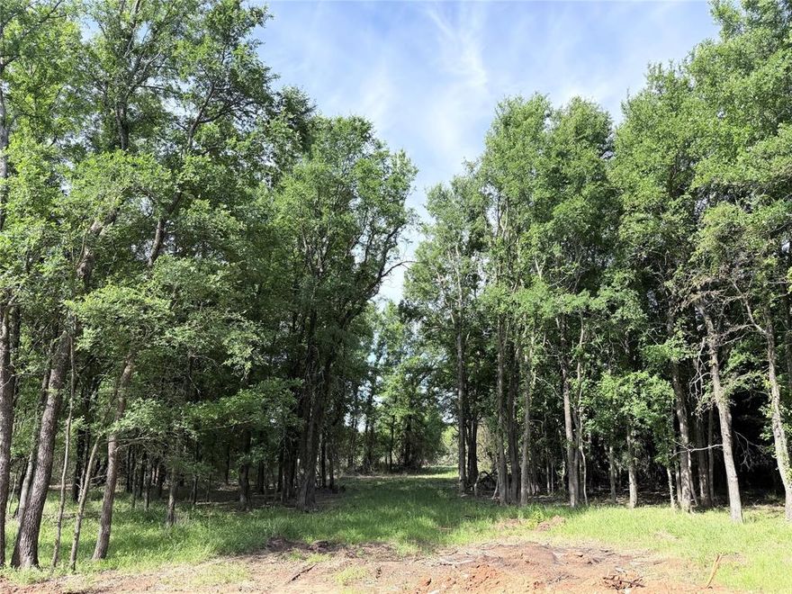 This 5-acre, heavily treed lot is located within the city limits of Whitney in the gated Lakewood Acres subdivision. Features include a dramatic tree-lined entrance and cleared space ready for a homesite. Community amenities include a chip sealed private road, City water, underground electric, and deed restrictions aligned with City of Whitney rules. Enjoy privacy and wildlife close to town.