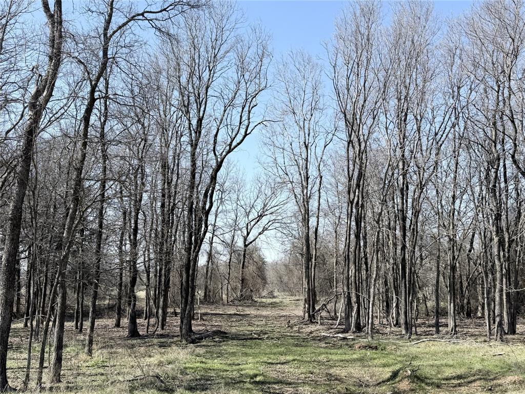 Lakewood Acres - Land