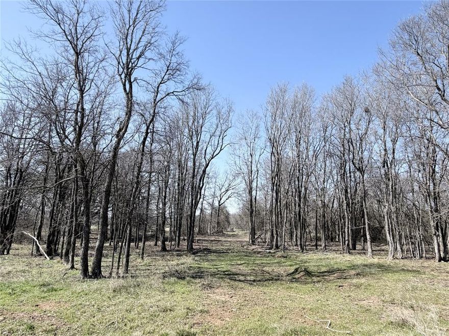 This 5-acre, heavily treed lot is located within the city limits of Whitney in the gated Lakewood Acres subdivision. Features include a dramatic tree-lined entrance and cleared space ready for a homesite. Community amenities include a chip sealed private road, City water, underground electric, and deed restrictions aligned with City of Whitney rules. Enjoy privacy and wildlife close to town.