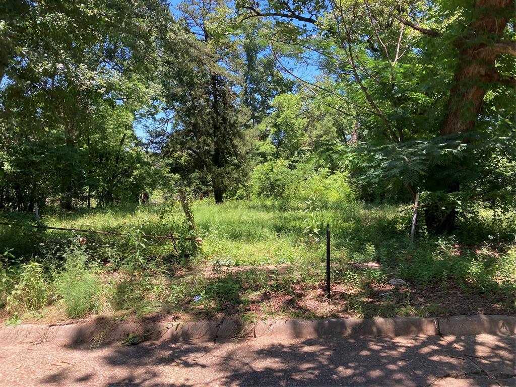 Bryn Mar Hill - Land