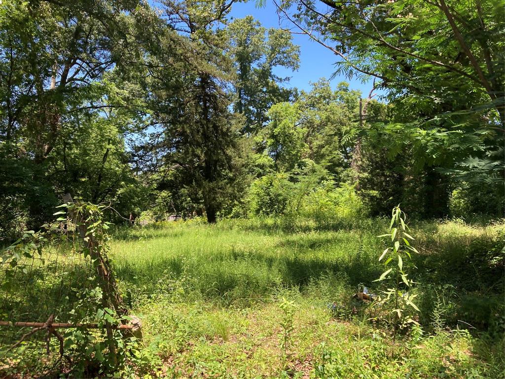 Bryn Mar Hill - Land