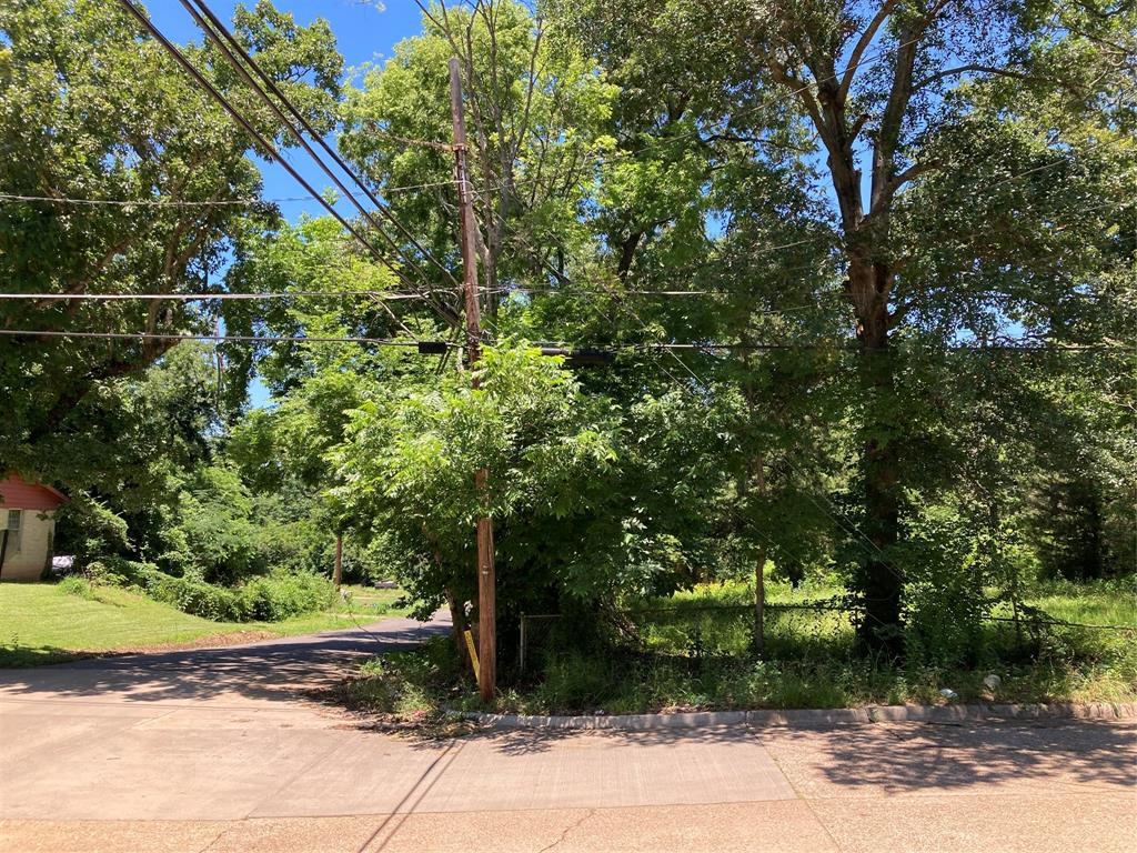 Bryn Mar Hill - Land