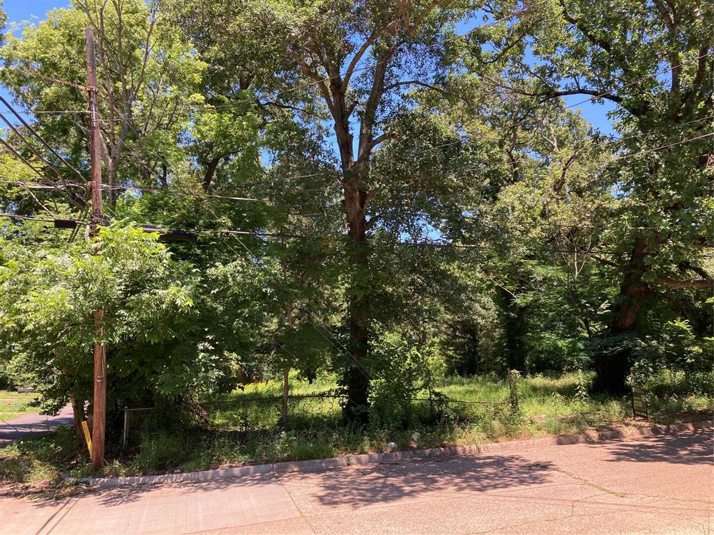 Bryn Mar Hill - Land