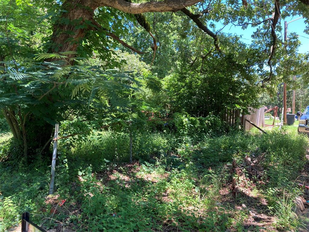 Bryn Mar Hill - Land