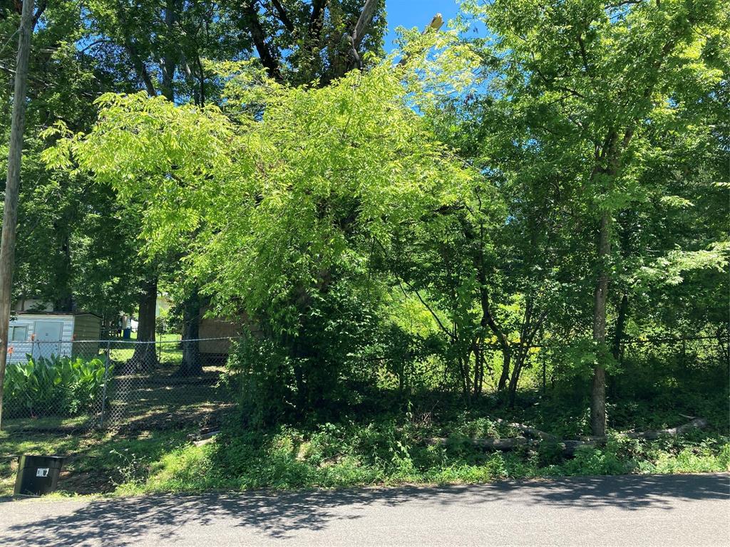 Bryn Mar Hill - Land