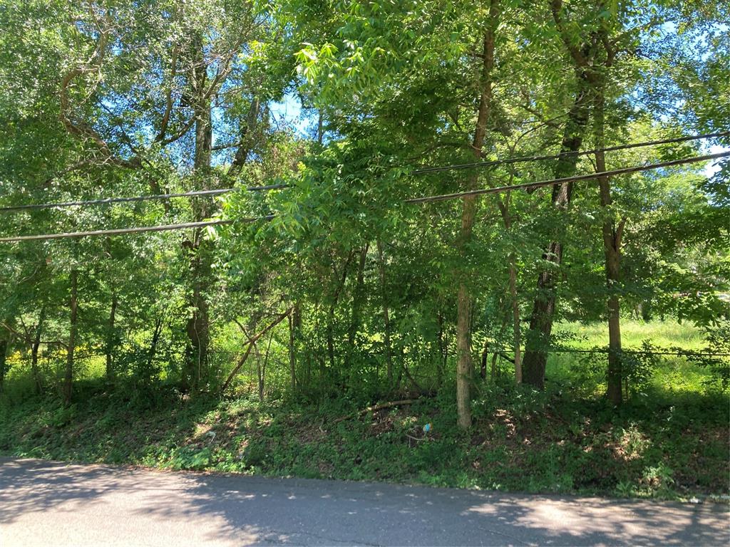 Bryn Mar Hill - Land