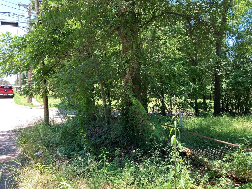 Bryn Mar Hill - Land