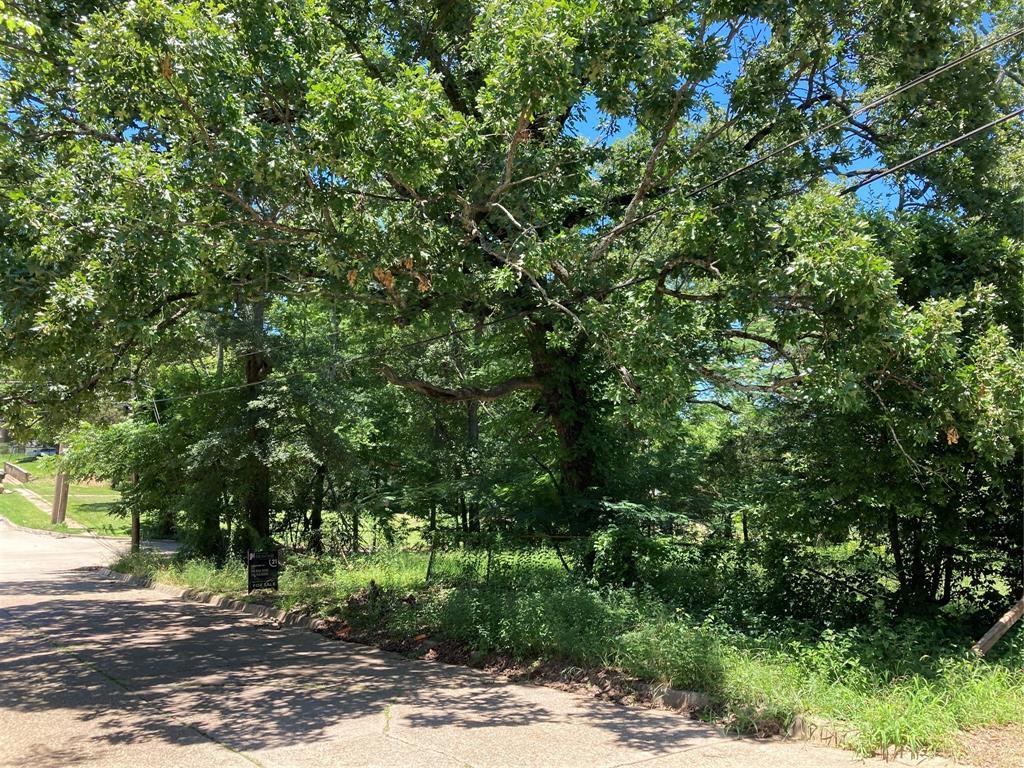 Bryn Mar Hill - Land