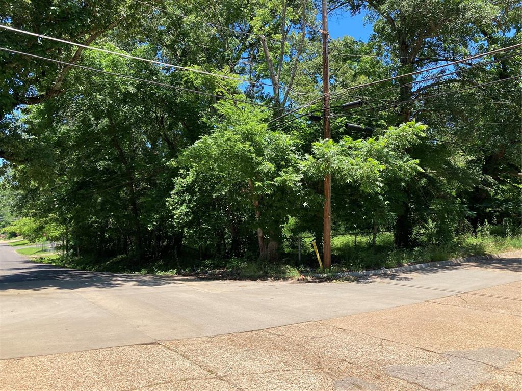 Bryn Mar Hill - Land