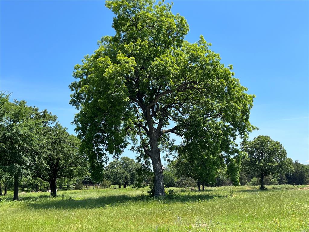 Kiowa Oaks - Land