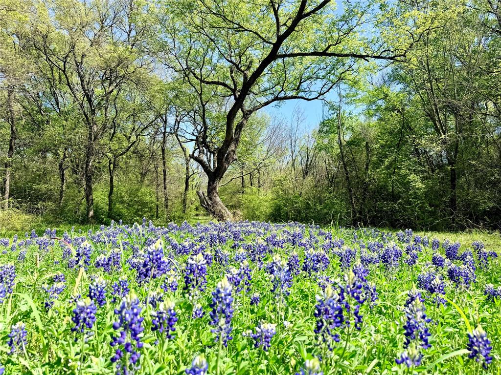 R Pena - Residential