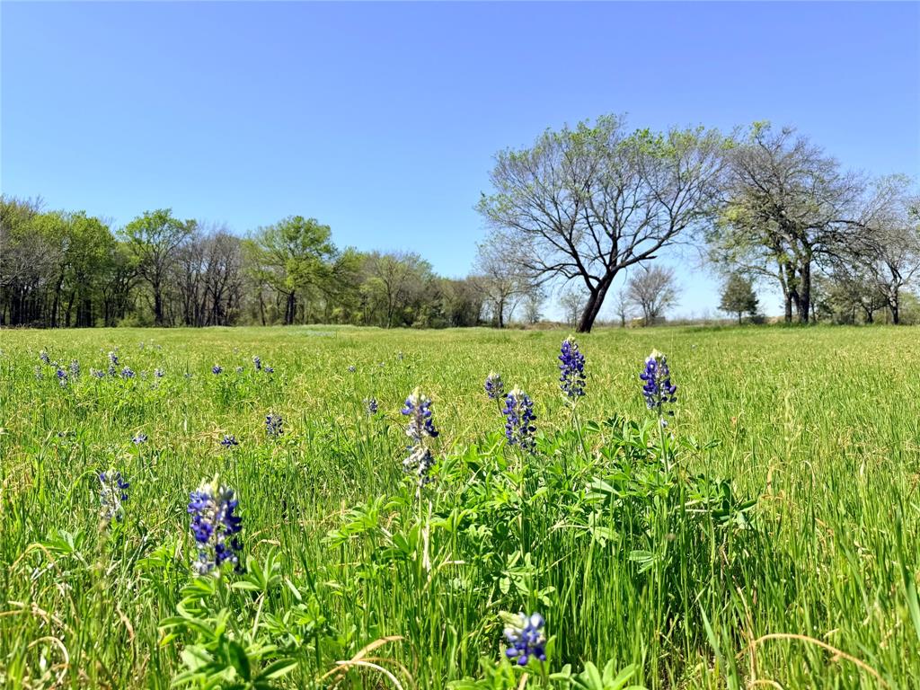 R Pena - Residential