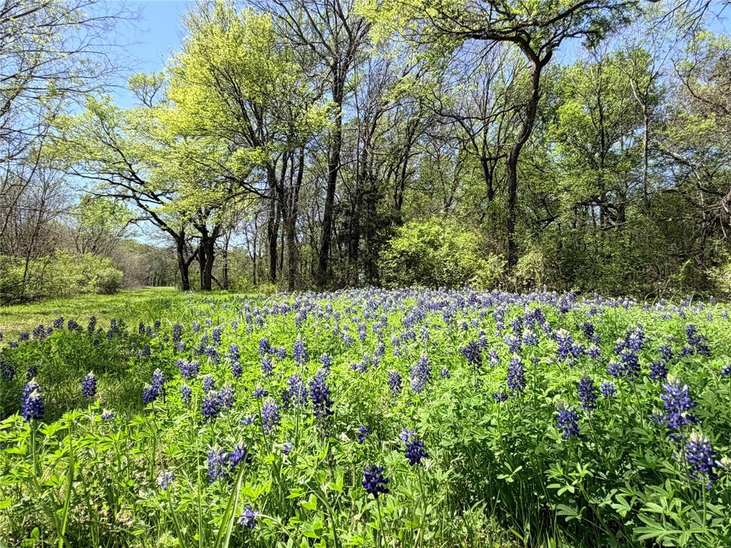 R Pena - Residential