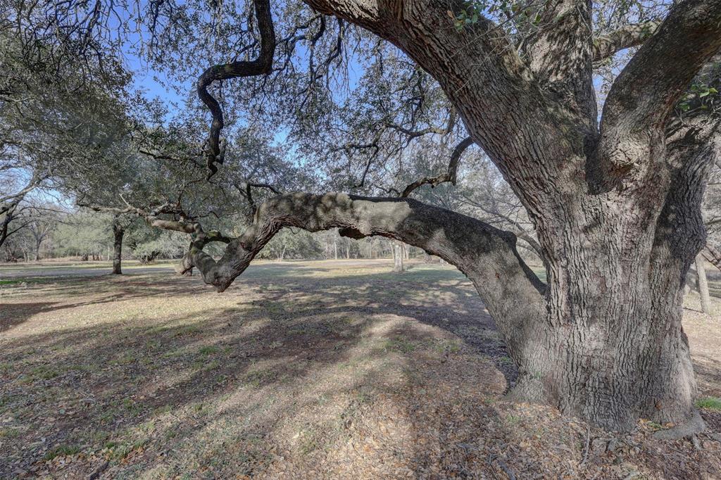 Oak Springs - Residential