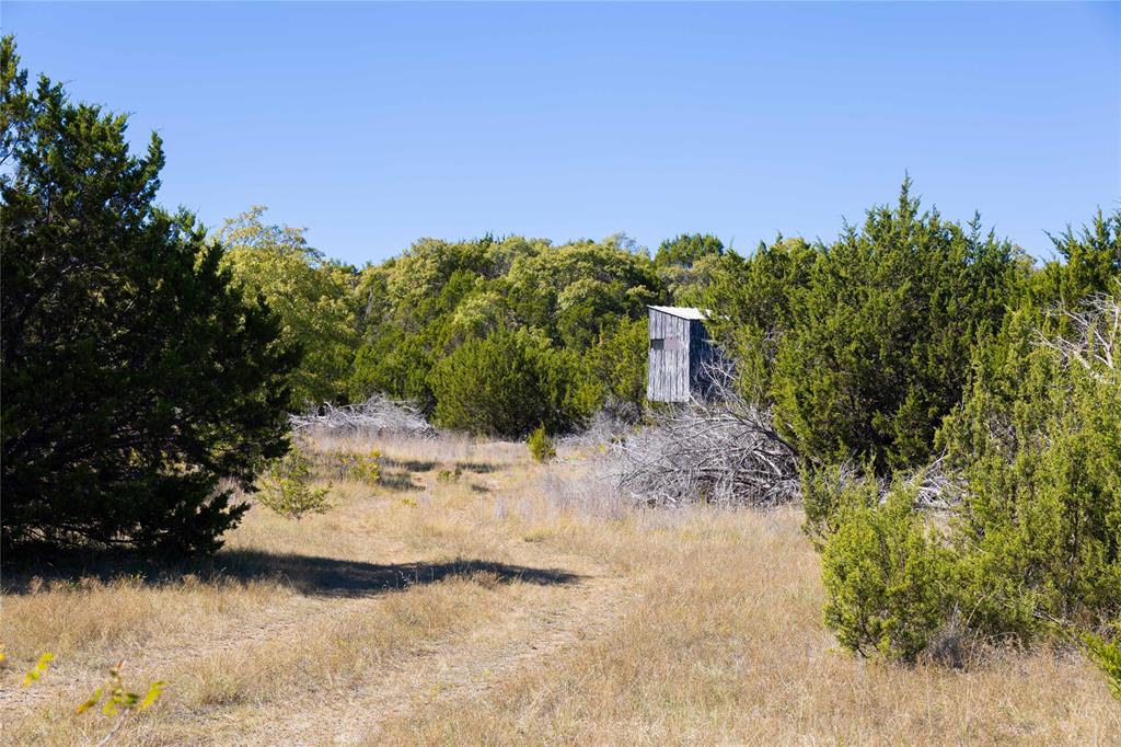 52 Acres CR-407 Road