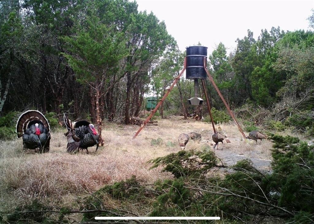 52 Acres CR-407 Road