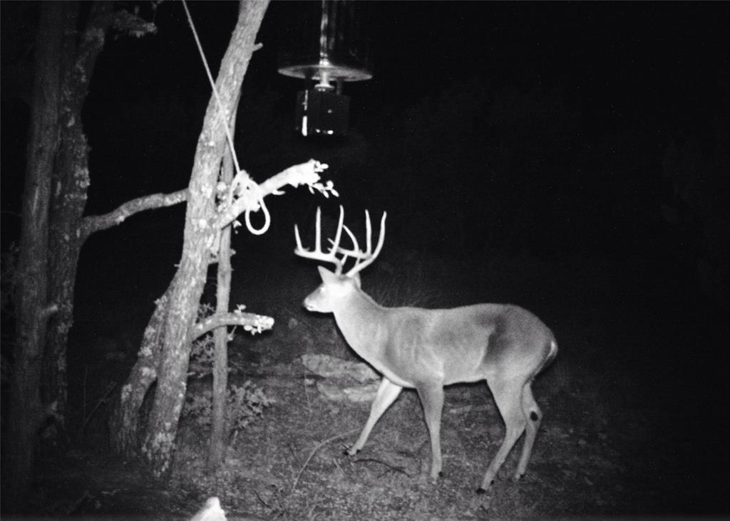 52 Acres CR-407 Road