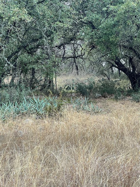 Kings Point Cove - Land