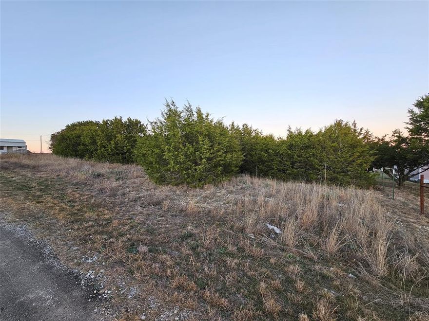 Look no further for a one acre interior lot on a hilltop in Cedar Ridge subdivision south of Weatherford city limits and north of Granbury near the Brazos River and Lake Granbury ready for your manufactured home or new build. This rocky lot has many trees with a clearing in the middle of the lot.  Dream big, bring your house plans and your boat as this property would make a beautiful spot to have it all.  Lot is partially fenced.  Survey needed.  Come see it and make us an offer today!  Disclaimer: All property information is deemed reliable but not guaranteed. Buyers, tenants, and their representatives should independently verify all details, including but not limited to measurements, permitted uses, zoning, schools, utilities, taxes and any other information important to their decision-making.