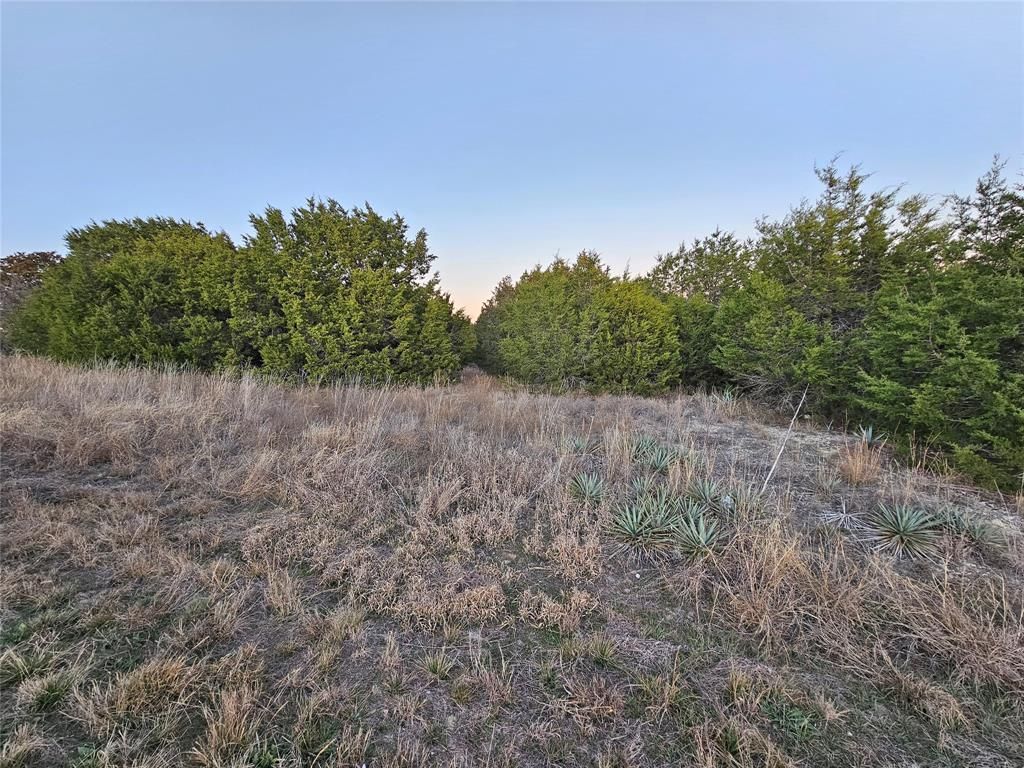 Photo of 107 Garnet Drive, Weatherford, TX 76087 (MLS # 21194171)