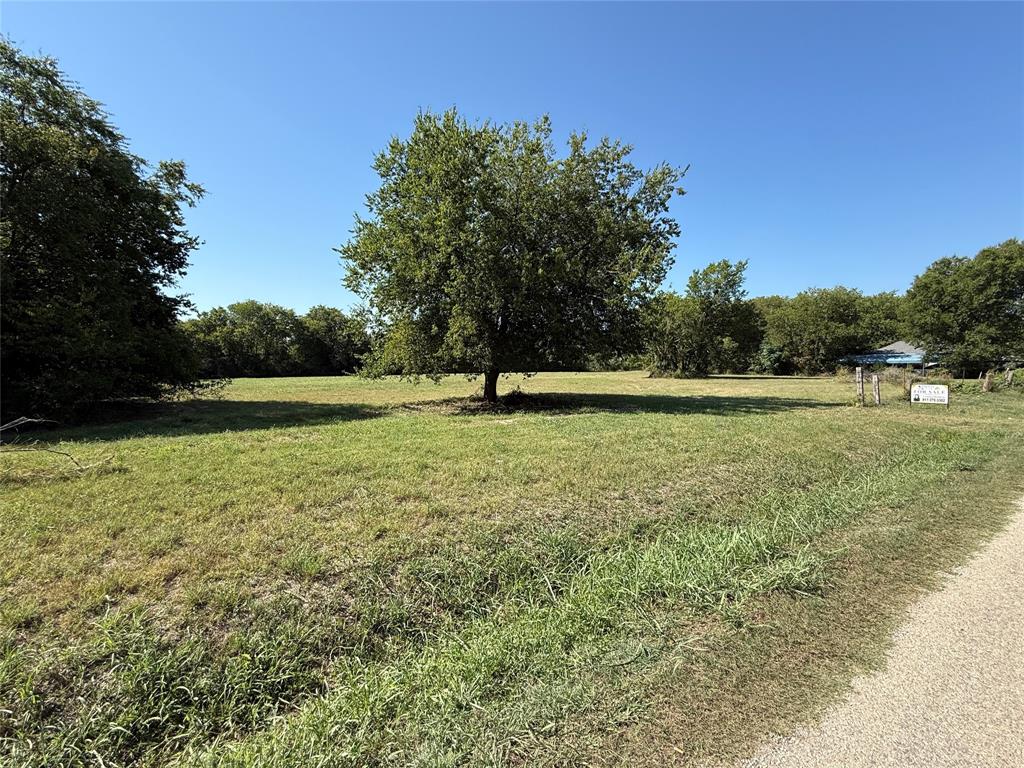 Cath T Bruce Sur Abs 93 - Land