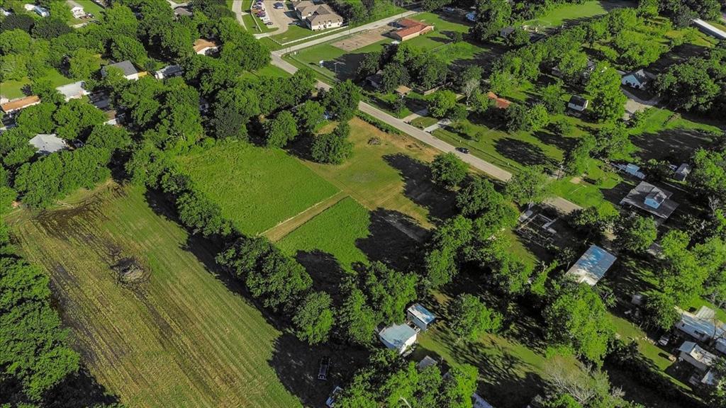 Cath T Bruce Sur Abs 93 - Land