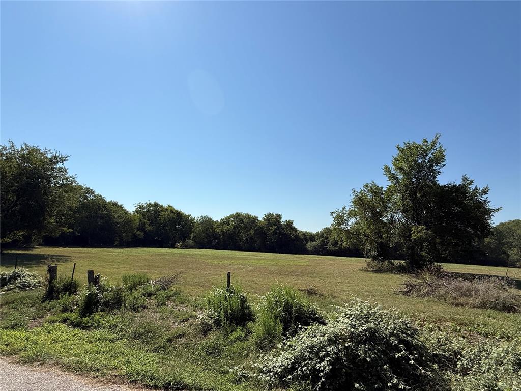 Cath T Bruce Sur Abs 93 - Land