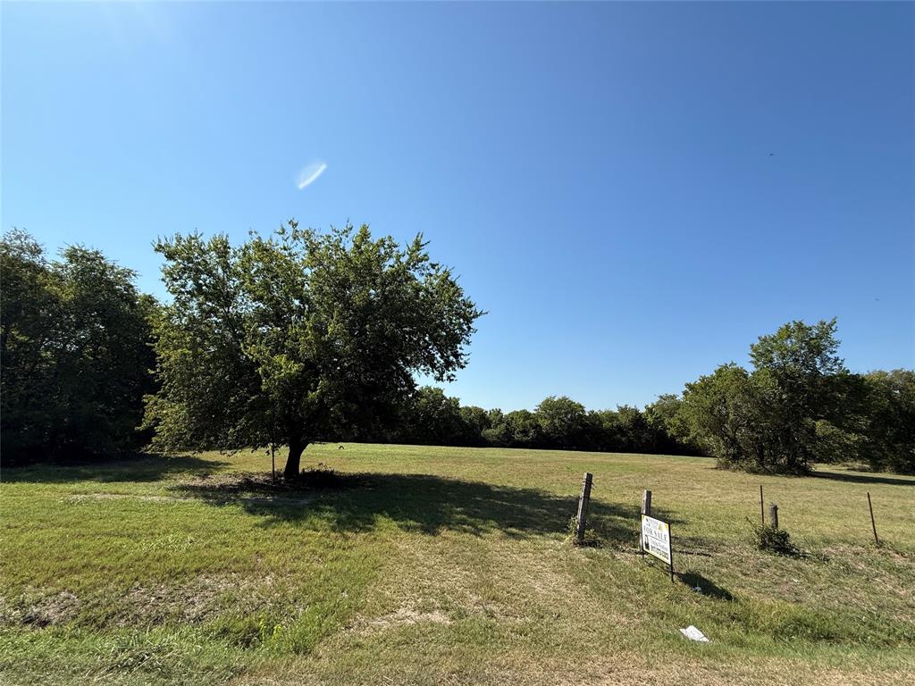 Cath T Bruce Sur Abs 93 - Land