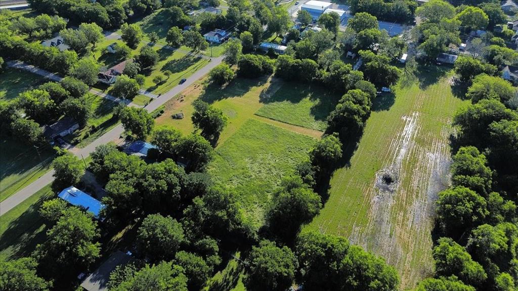 Cath T Bruce Sur Abs 93 - Land