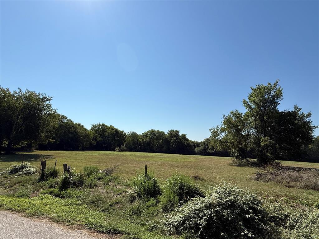 Cath T Bruce Sur Abs 93 - Land