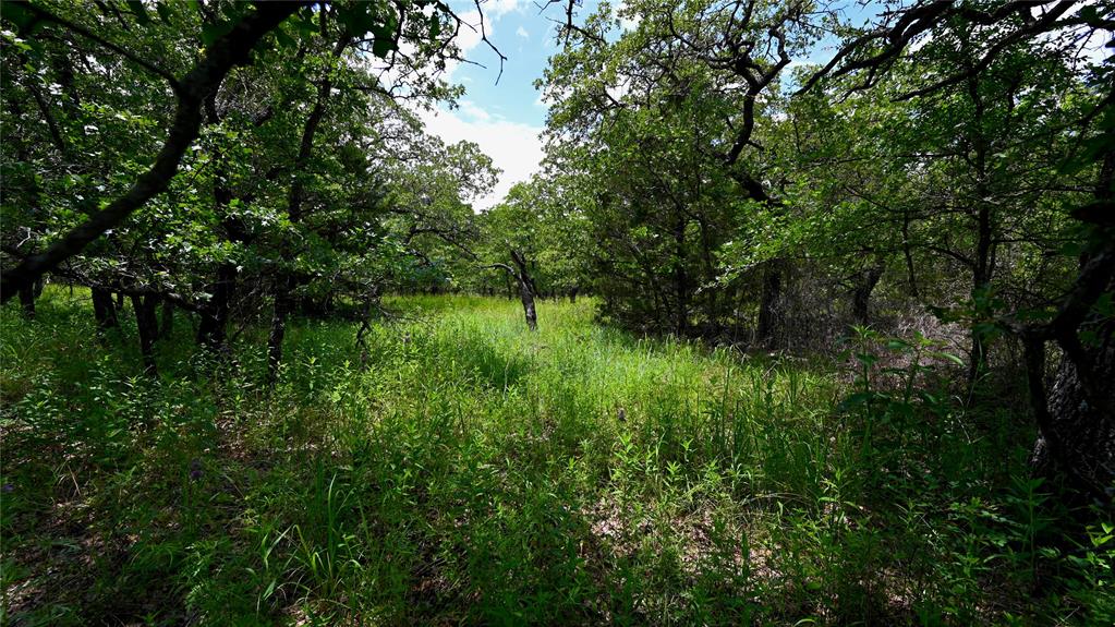 Silver Lakes Ranch - Land