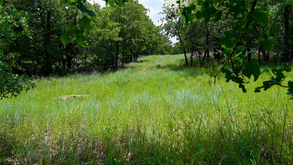 Silver Lakes Ranch - Land