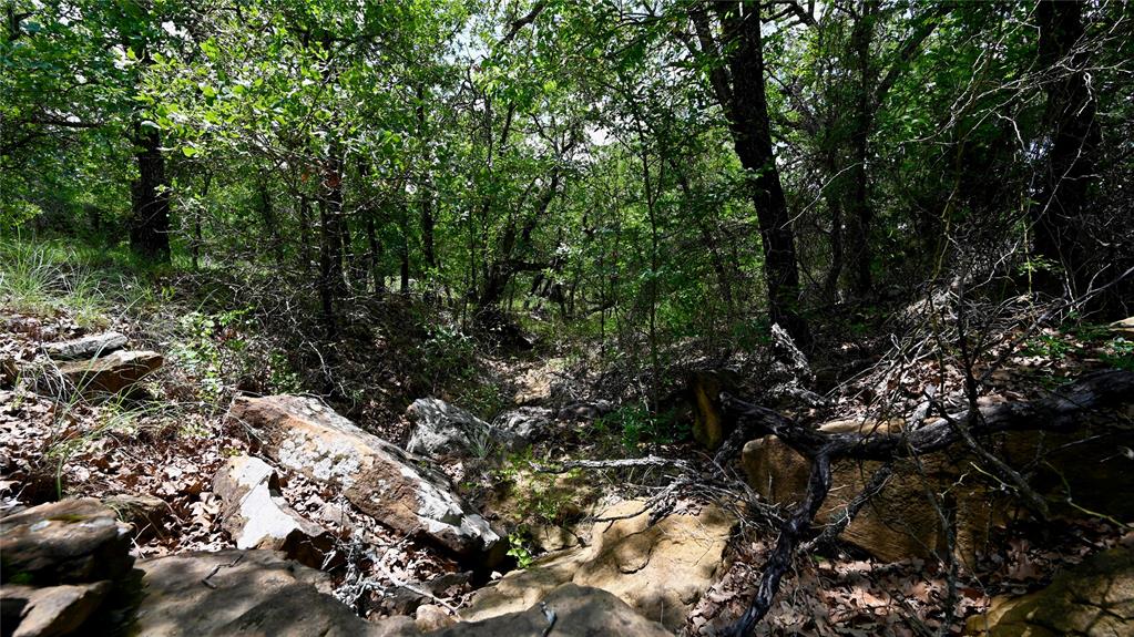 Silver Lakes Ranch - Land