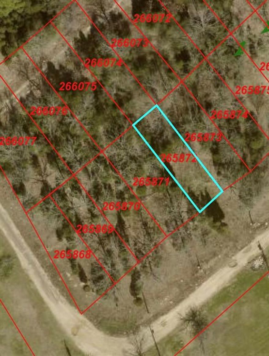 Great opportunity to purchase a buildable lot in Henderson County! This property can be purchased individually or bundled with additional available lots for investors looking to expand their portfolio. The lot features a level layout with scattered mature trees, creating a beautiful setting for a future homesite or a long-term hold. Located within an established subdivision, it offers a peaceful, rural atmosphere while remaining conveniently accessible to nearby highways, towns, and Cedar Creek Lake. Owner financing is available, making this an excellent opportunity for buyers seeking flexible purchase options.