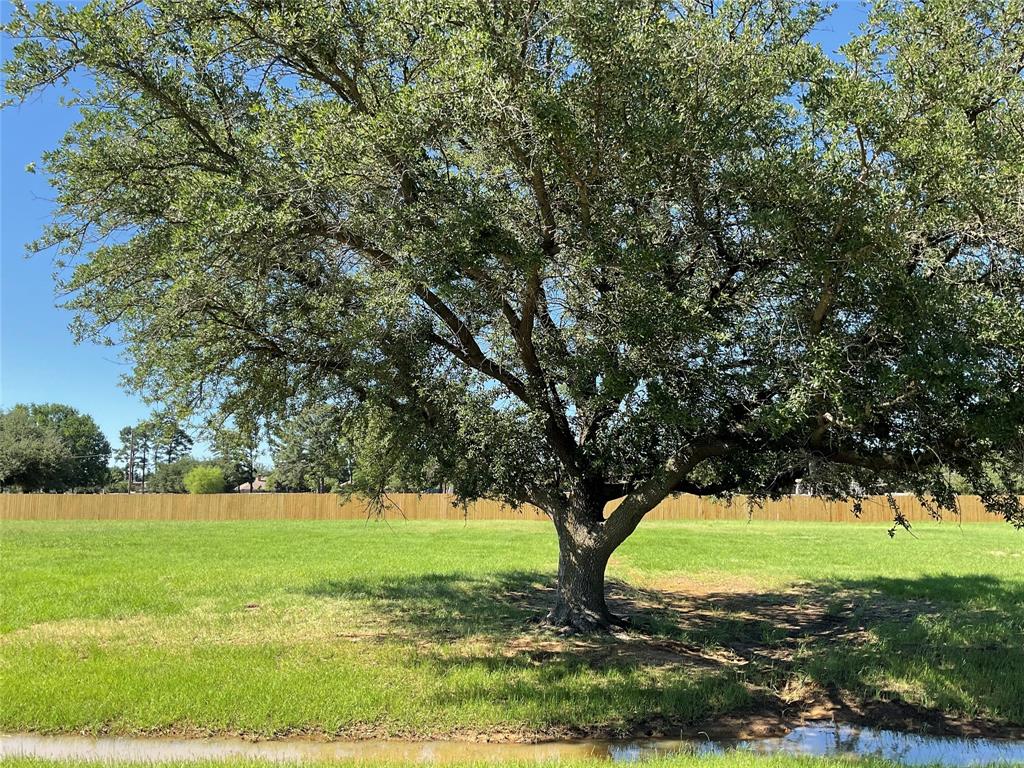 TBD Lot 3 Surveyors Road