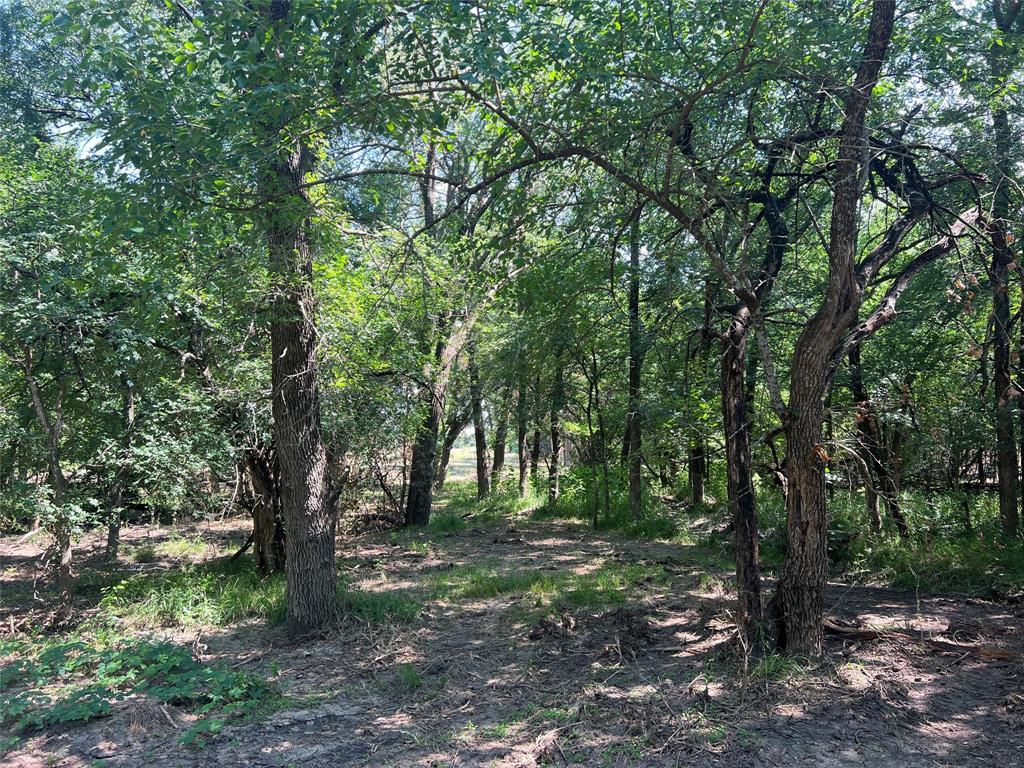 Maria Ignacio Gimenez Surv Abs - Land